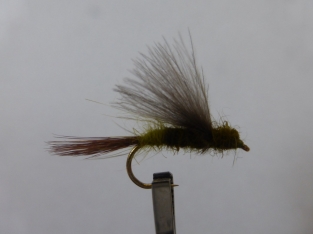 Size 10 Danica CDC